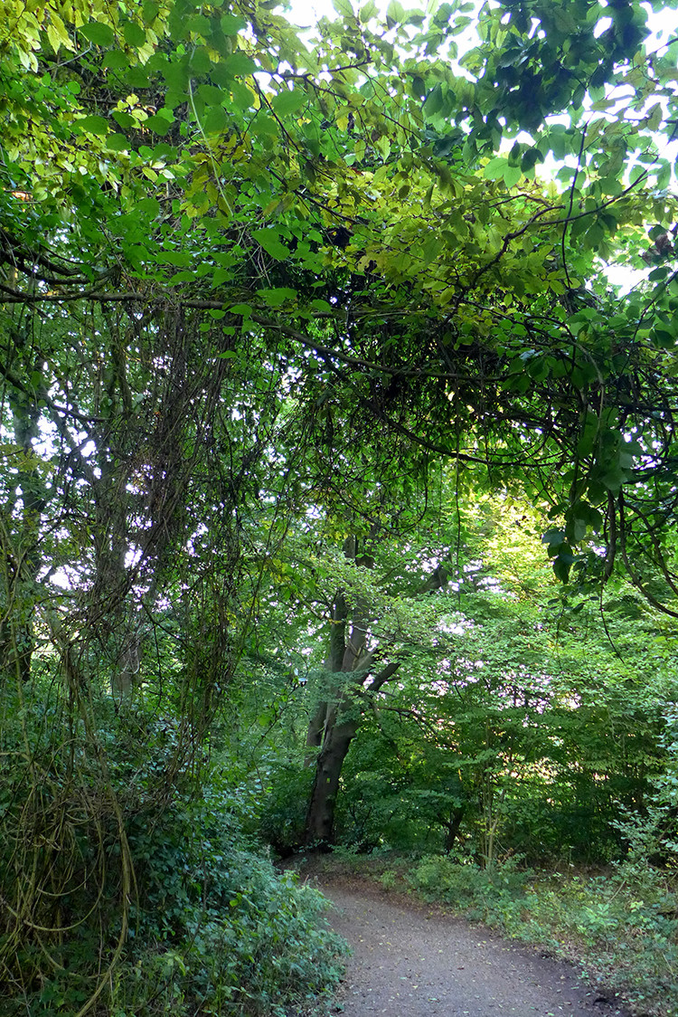 Klicke auf die Grafik für eine vergrößerte Ansicht  Name: Weserberglandweg_PortaWestfalica_54.jpg Ansichten: 0 Größe: 613,2 KB ID: 3281394