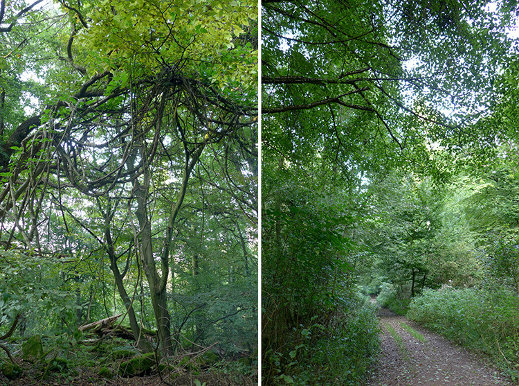 Klicke auf die Grafik für eine vergrößerte Ansicht  Name: Weserberglandweg_PortaWestfalica_55.jpg Ansichten: 0 Größe: 348,0 KB ID: 3281395