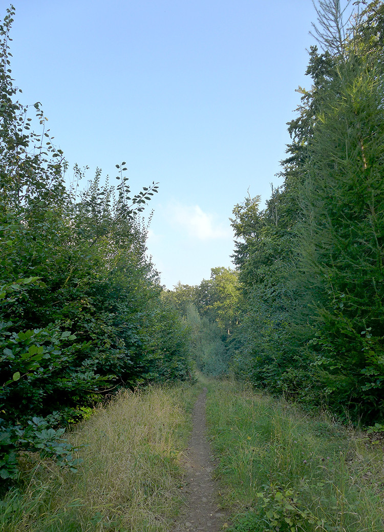 Klicke auf die Grafik für eine vergrößerte Ansicht  Name: Weserberglandweg_PortaWestfalica_49_2.jpg Ansichten: 0 Größe: 385,2 KB ID: 3281398