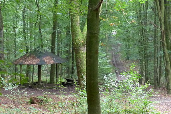 Klicke auf die Grafik für eine vergrößerte Ansicht

Name: Wetterpilz_1.jpg
Ansichten: 43
Größe: 143,8 KB
ID: 3281413