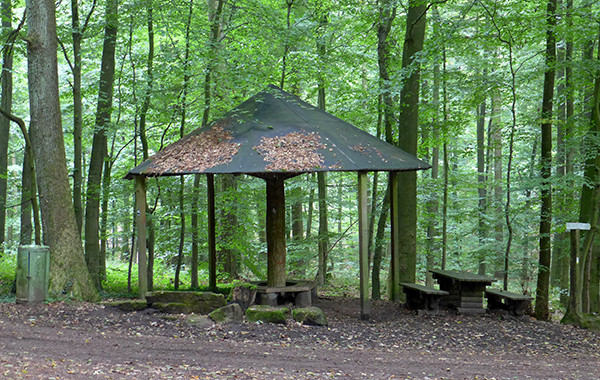 Klicke auf die Grafik für eine vergrößerte Ansicht

Name: Wetterpilz_2.jpg
Ansichten: 42
Größe: 164,8 KB
ID: 3281414