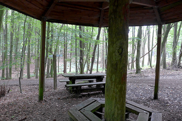 Klicke auf die Grafik für eine vergrößerte Ansicht

Name: Wetterpilz_3.jpg
Ansichten: 42
Größe: 127,9 KB
ID: 3281415
