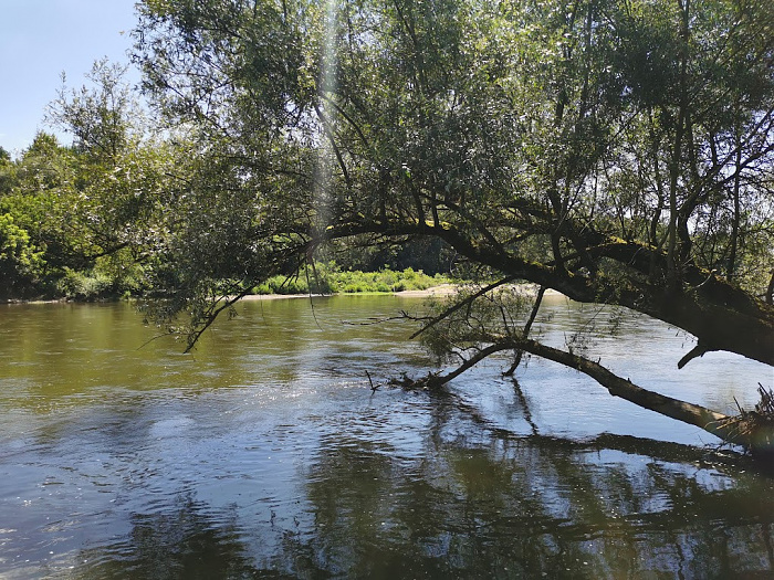 Erster Blick auf den Allier