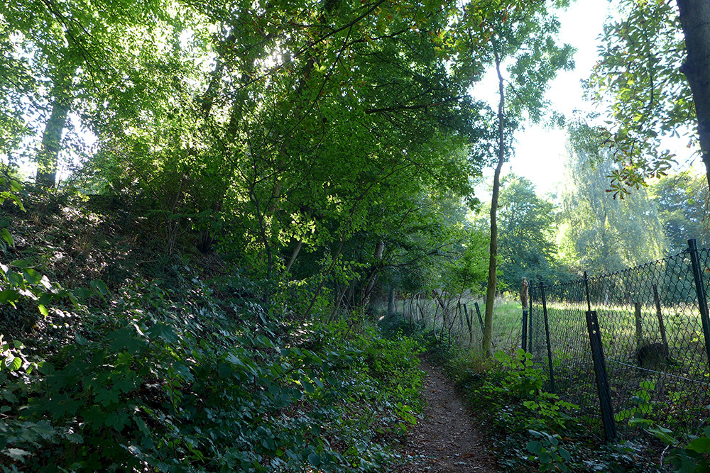 Klicke auf die Grafik für eine vergrößerte Ansicht  Name: Weserberglandweg_PortaWestfalica_58.jpg Ansichten: 0 Größe: 520,0 KB ID: 3281814