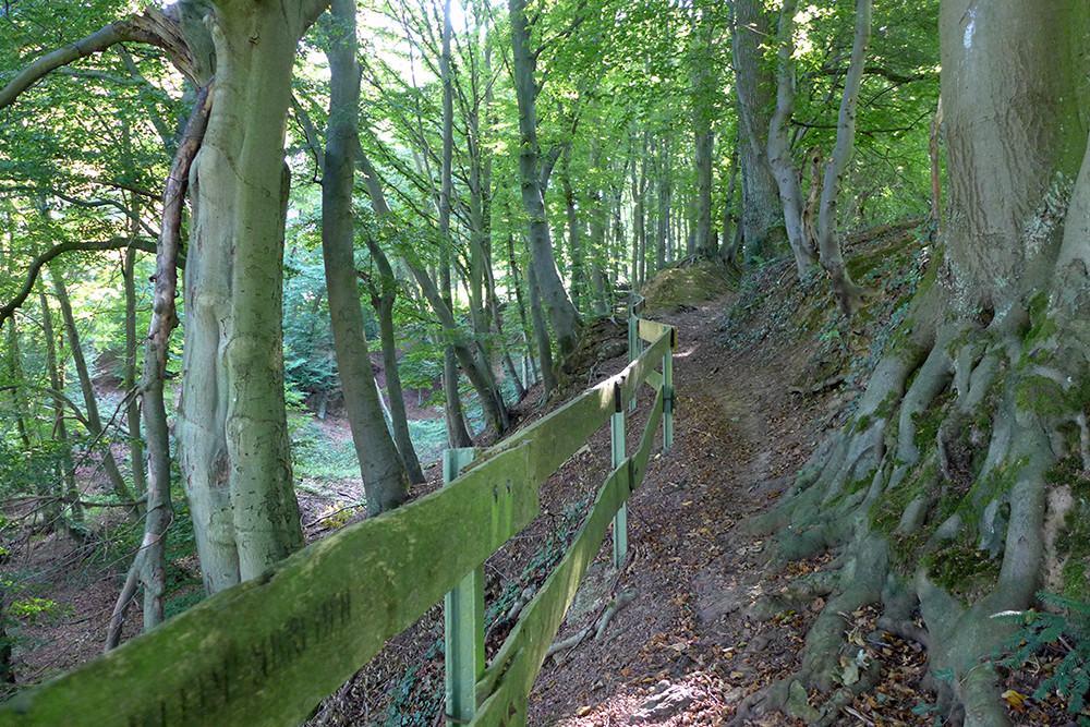 Klicke auf die Grafik für eine vergrößerte Ansicht  Name: Weserberglandweg_PortaWestfalica_59.jpg Ansichten: 0 Größe: 401,7 KB ID: 3281815