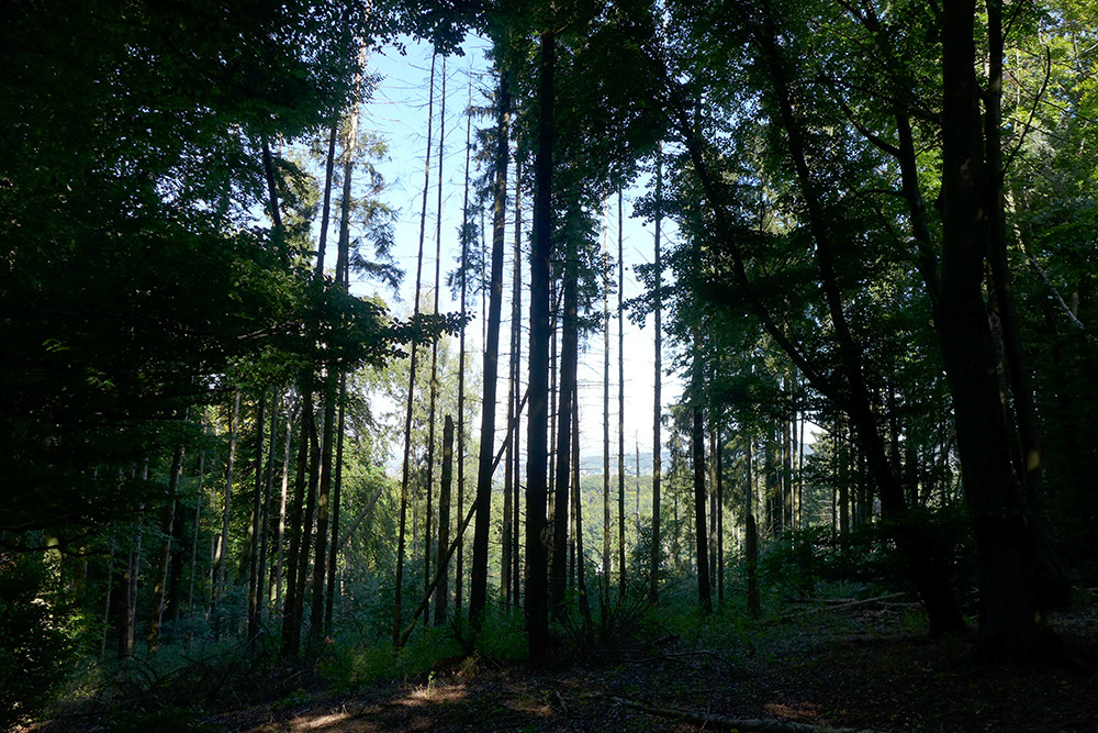 Klicke auf die Grafik für eine vergrößerte Ansicht  Name: Weserberglandweg_PortaWestfalica_60.jpg Ansichten: 0 Größe: 358,2 KB ID: 3281816