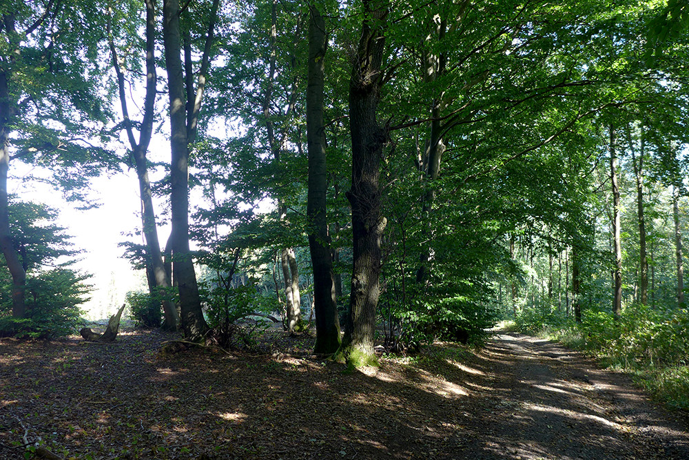 Klicke auf die Grafik für eine vergrößerte Ansicht  Name: Weserberglandweg_PortaWestfalica_65.jpg Ansichten: 0 Größe: 488,3 KB ID: 3281822