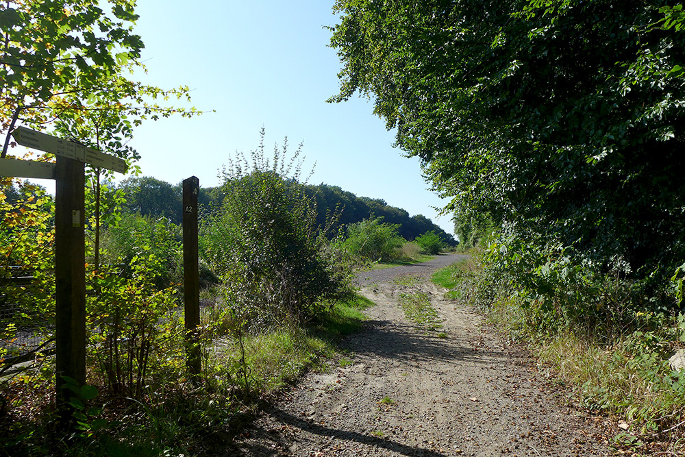 Klicke auf die Grafik für eine vergrößerte Ansicht  Name: Weserberglandweg_PortaWestfalica_66.jpg Ansichten: 0 Größe: 467,5 KB ID: 3281823