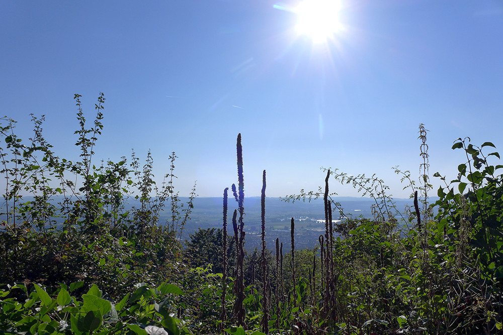 Klicke auf die Grafik für eine vergrößerte Ansicht  Name: Weserberglandweg_PortaWestfalica_72.jpg Ansichten: 0 Größe: 280,2 KB ID: 3281829