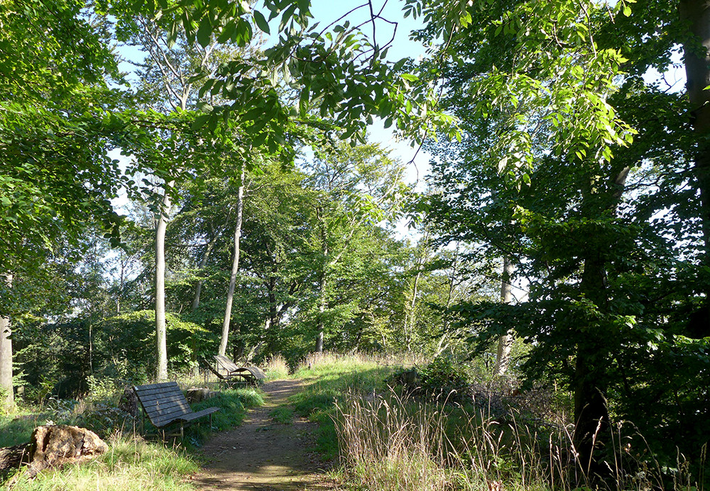 Klicke auf die Grafik für eine vergrößerte Ansicht  Name: Weserberglandweg_PortaWestfalica_73.jpg Ansichten: 0 Größe: 560,4 KB ID: 3281830
