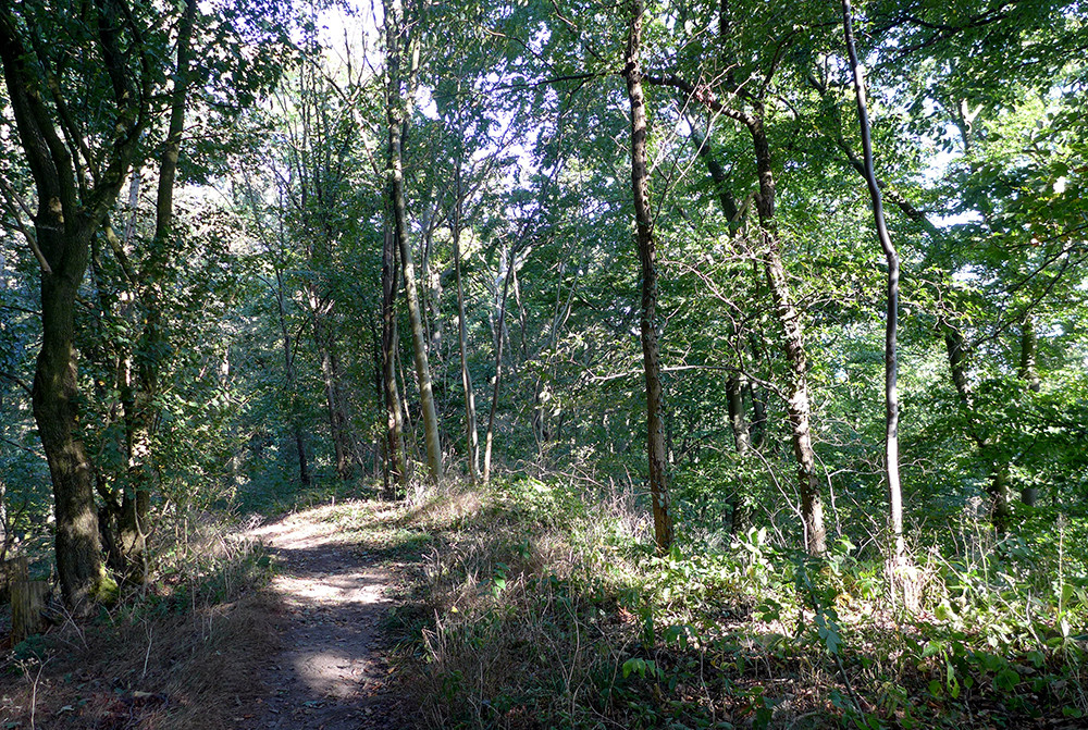 Klicke auf die Grafik für eine vergrößerte Ansicht  Name: Weserberglandweg_PortaWestfalica_77.jpg Ansichten: 0 Größe: 566,1 KB ID: 3281835