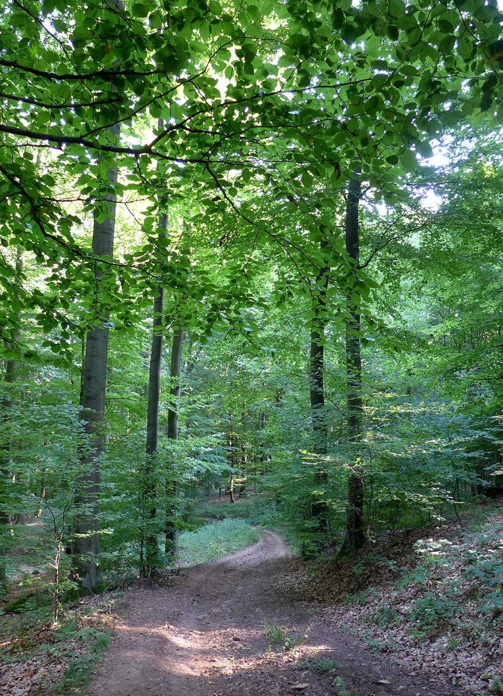 Klicke auf die Grafik für eine vergrößerte Ansicht  Name: Weserberglandweg_PortaWestfalica_78.jpg Ansichten: 0 Größe: 983,5 KB ID: 3281836