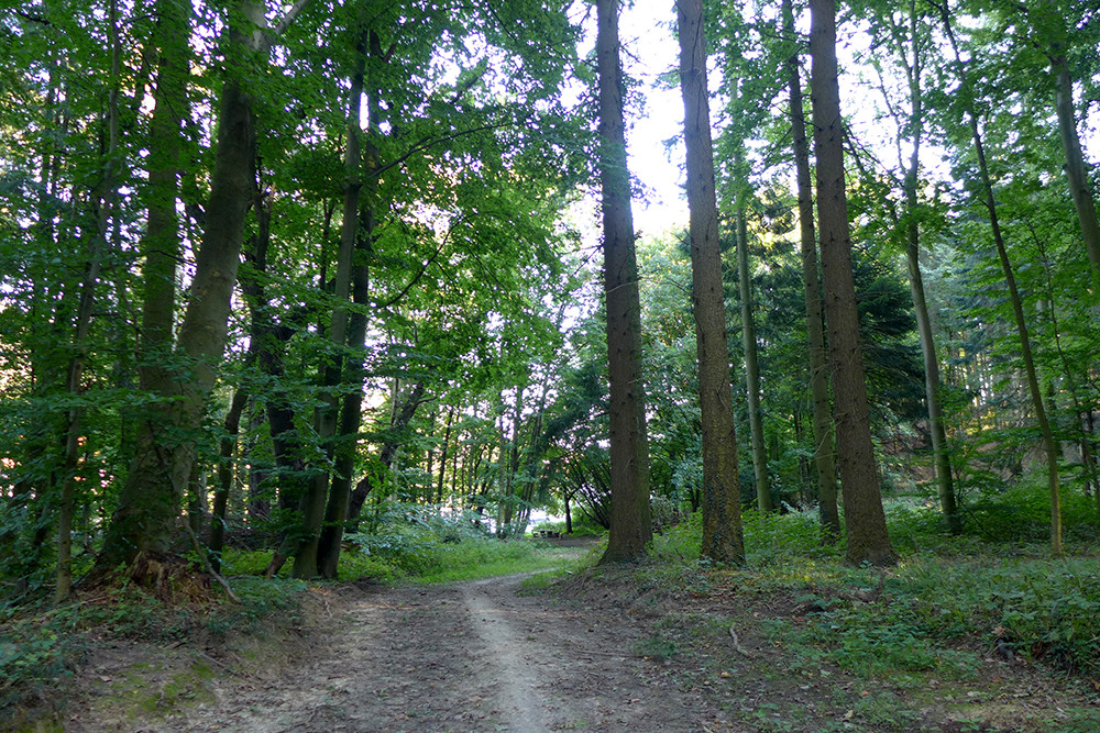 Klicke auf die Grafik für eine vergrößerte Ansicht  Name: Weserberglandweg_PortaWestfalica_79.jpg Ansichten: 0 Größe: 447,8 KB ID: 3281837