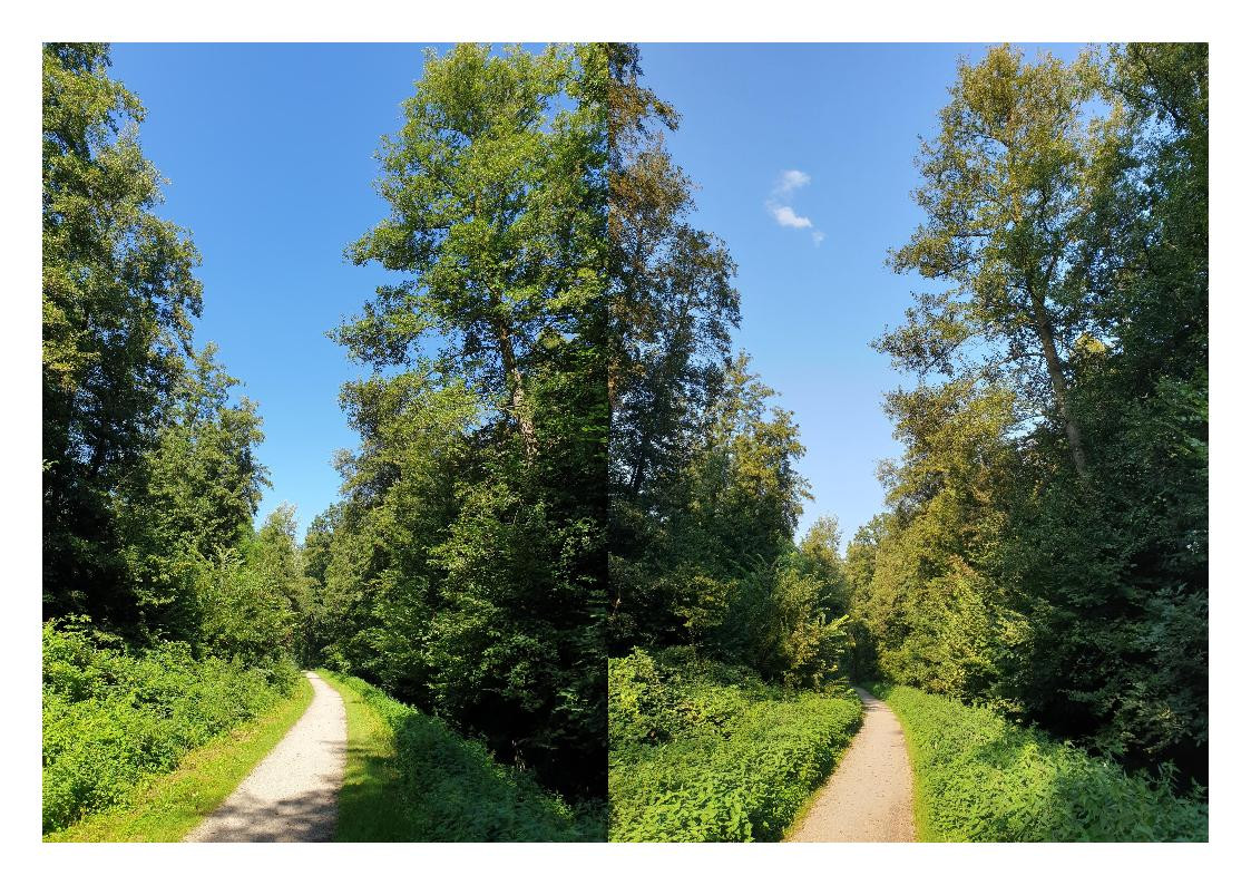 Klicke auf die Grafik für eine vergrößerte Ansicht

Name: Aug_Sept_1.jpg
Ansichten: 209
Größe: 426,6 KB
ID: 3281895
