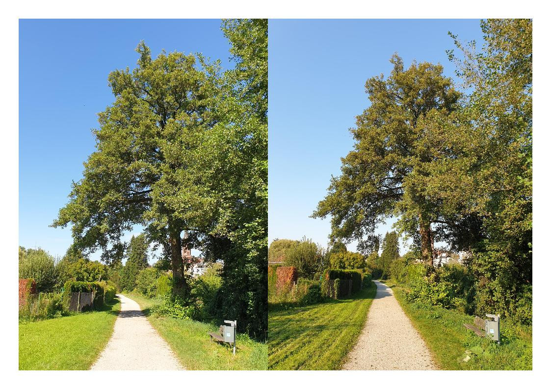 Klicke auf die Grafik für eine vergrößerte Ansicht

Name: Aug_Sept_2.jpg
Ansichten: 202
Größe: 431,1 KB
ID: 3281896