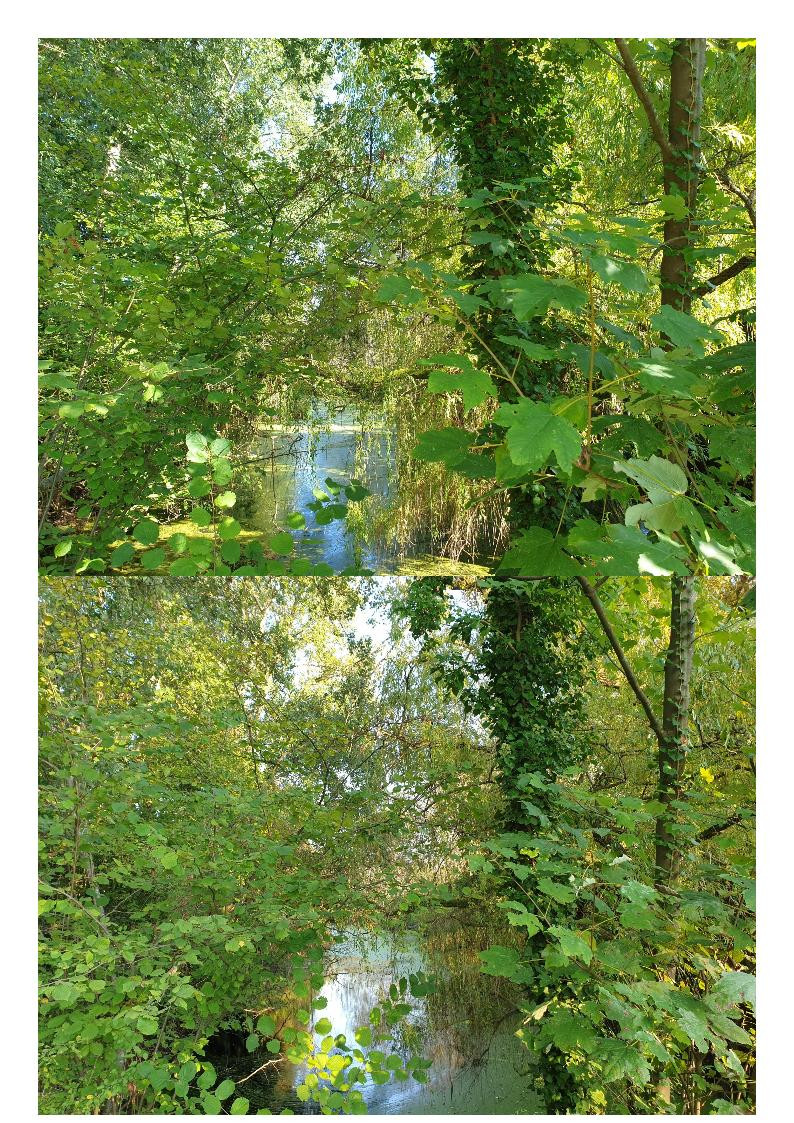 Klicke auf die Grafik für eine vergrößerte Ansicht  Name: Aug_Sept_9.jpg Ansichten: 0 Größe: 515,6 KB ID: 3281907
