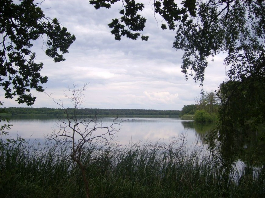 Klicke auf die Grafik für eine vergrößerte Ansicht

Name: 04_Fischteich.jpg
Ansichten: 144
Größe: 197,5 KB
ID: 3283056