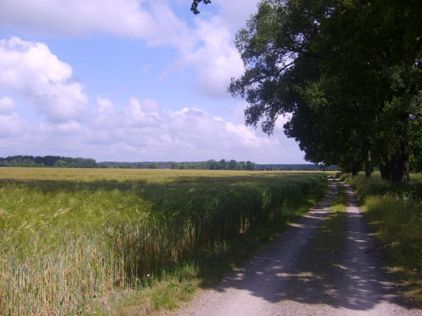 Klicke auf die Grafik für eine vergrößerte Ansicht  Name: 25_Feldweg.jpg Ansichten: 0 Größe: 148,9 KB ID: 3283066