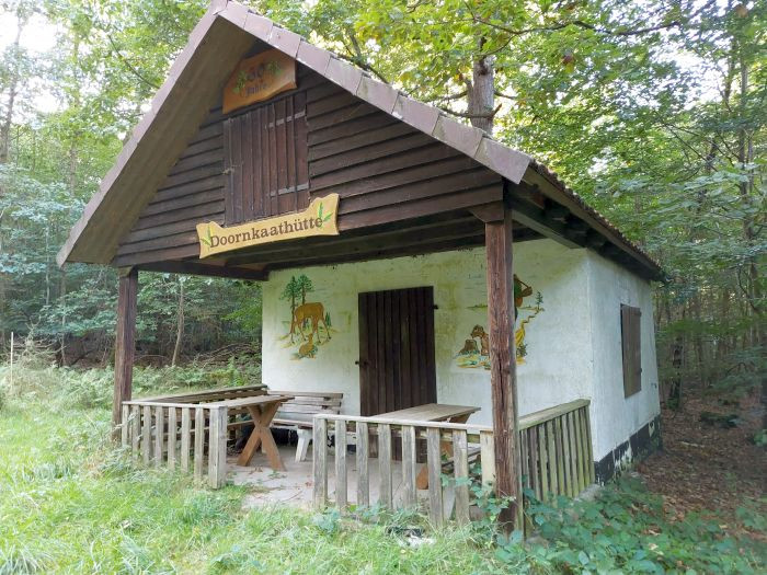 Klicke auf die Grafik für eine vergrößerte Ansicht

Name: 20240927_175931a.jpg
Ansichten: 111
Größe: 167,4 KB
ID: 3283243