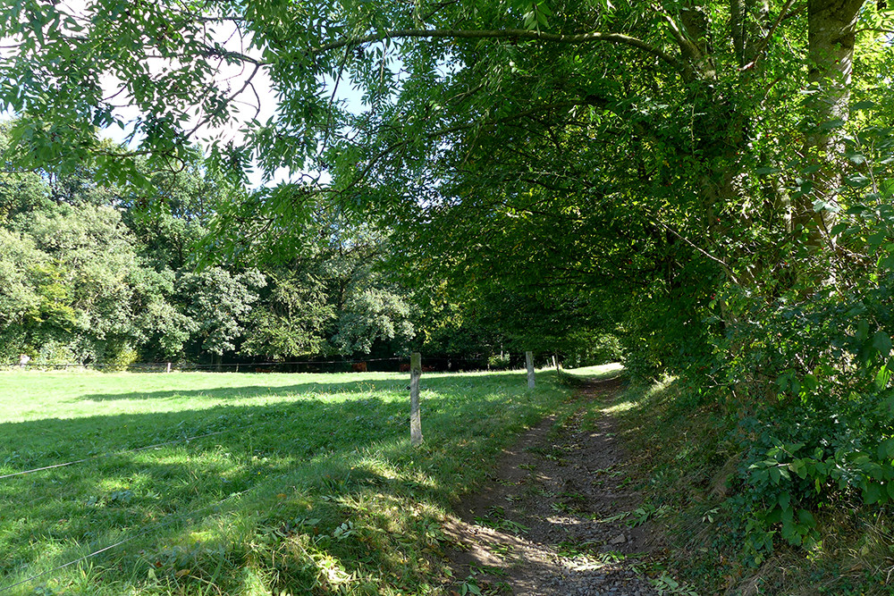Klicke auf die Grafik für eine vergrößerte Ansicht  Name: Weserberglandweg_PortaWestfalica_83.jpg Ansichten: 0 Größe: 528,2 KB ID: 3283661