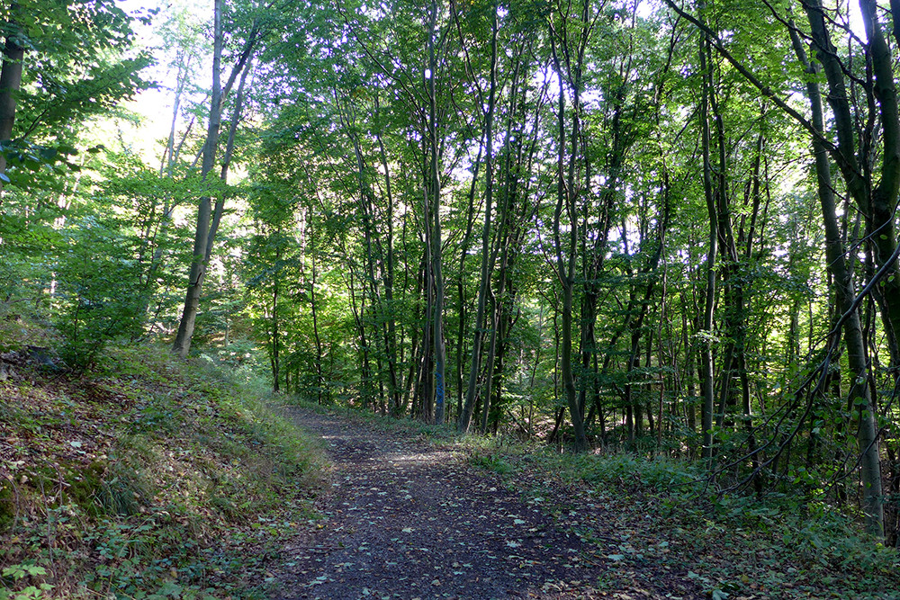 Klicke auf die Grafik für eine vergrößerte Ansicht  Name: Weserberglandweg_PortaWestfalica_86.jpg Ansichten: 0 Größe: 553,0 KB ID: 3283664