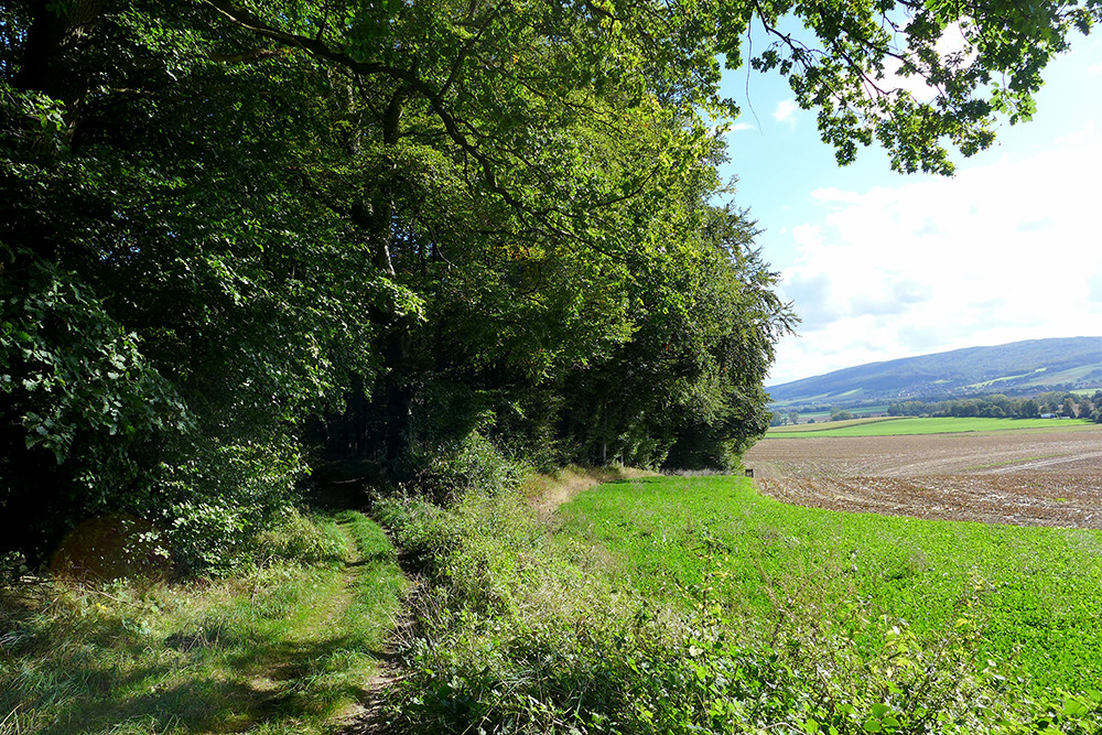 Klicke auf die Grafik für eine vergrößerte Ansicht  Name: Weserberglandweg_PortaWestfalica_87.jpg Ansichten: 0 Größe: 490,6 KB ID: 3283665