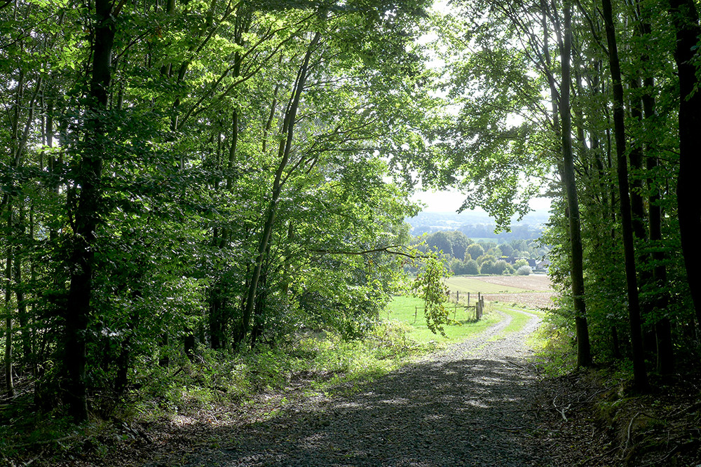 Klicke auf die Grafik für eine vergrößerte Ansicht  Name: Weserberglandweg_PortaWestfalica_89.jpg Ansichten: 0 Größe: 499,9 KB ID: 3283667