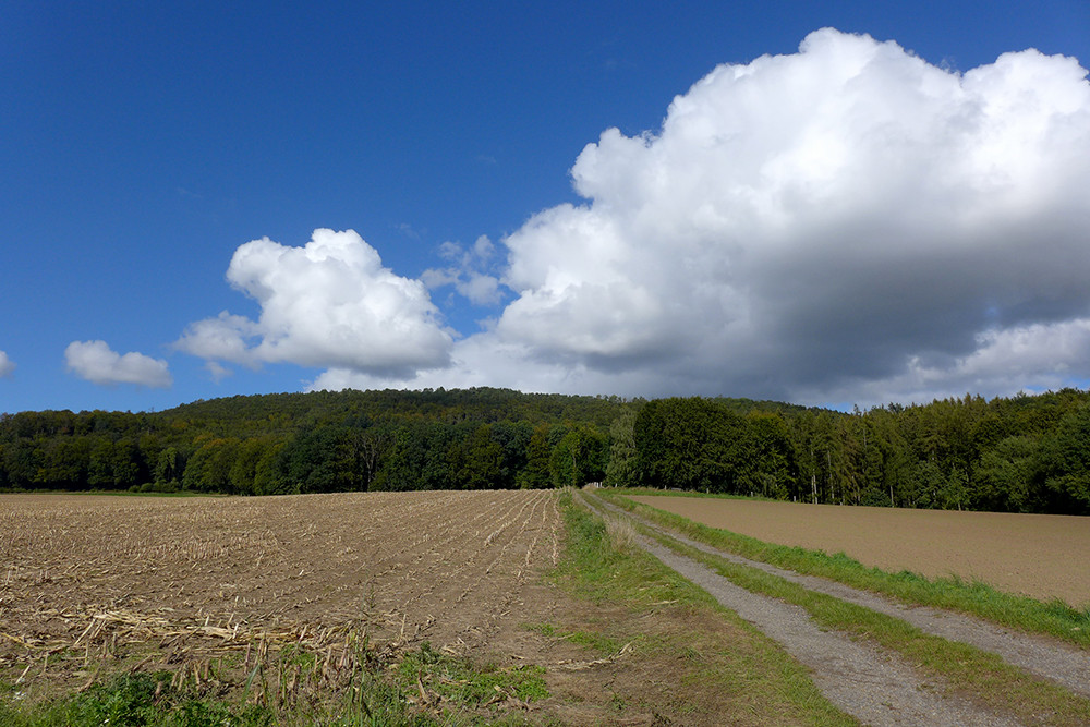 Klicke auf die Grafik für eine vergrößerte Ansicht  Name: Weserberglandweg_PortaWestfalica_91.jpg Ansichten: 0 Größe: 224,7 KB ID: 3283668