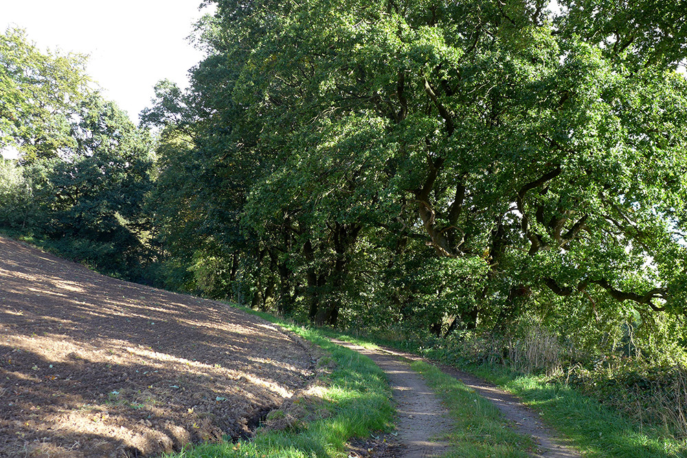 Klicke auf die Grafik für eine vergrößerte Ansicht  Name: Weserberglandweg_PortaWestfalica_95.jpg Ansichten: 0 Größe: 499,7 KB ID: 3283672