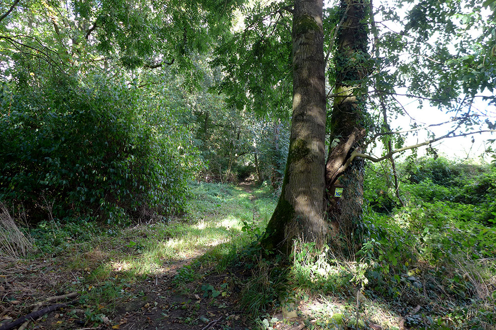 Klicke auf die Grafik für eine vergrößerte Ansicht  Name: Weserberglandweg_PortaWestfalica_96.jpg Ansichten: 0 Größe: 496,7 KB ID: 3283673