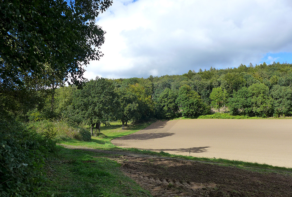Klicke auf die Grafik für eine vergrößerte Ansicht  Name: Weserberglandweg_PortaWestfalica_97.jpg Ansichten: 0 Größe: 317,8 KB ID: 3283674