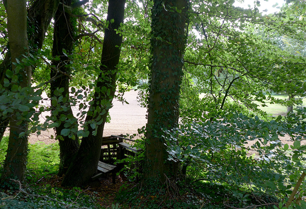 Klicke auf die Grafik für eine vergrößerte Ansicht  Name: Weserberglandweg_PortaWestfalica_98.jpg Ansichten: 0 Größe: 460,3 KB ID: 3283675