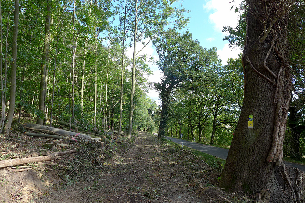 Klicke auf die Grafik für eine vergrößerte Ansicht  Name: Weserberglandweg_PortaWestfalica_99.jpg Ansichten: 0 Größe: 458,3 KB ID: 3283676