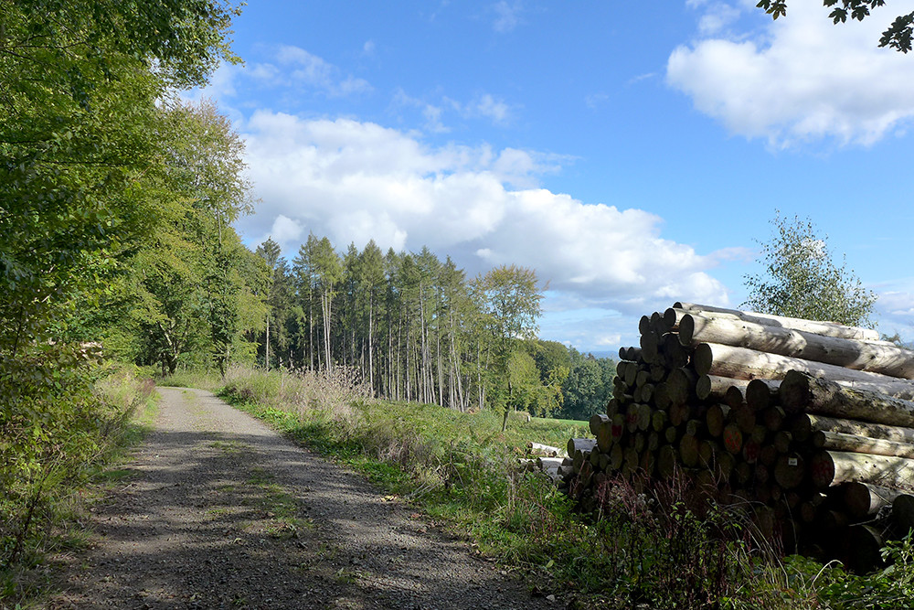 Klicke auf die Grafik für eine vergrößerte Ansicht  Name: Weserberglandweg_PortaWestfalica_100.jpg Ansichten: 0 Größe: 329,4 KB ID: 3283677