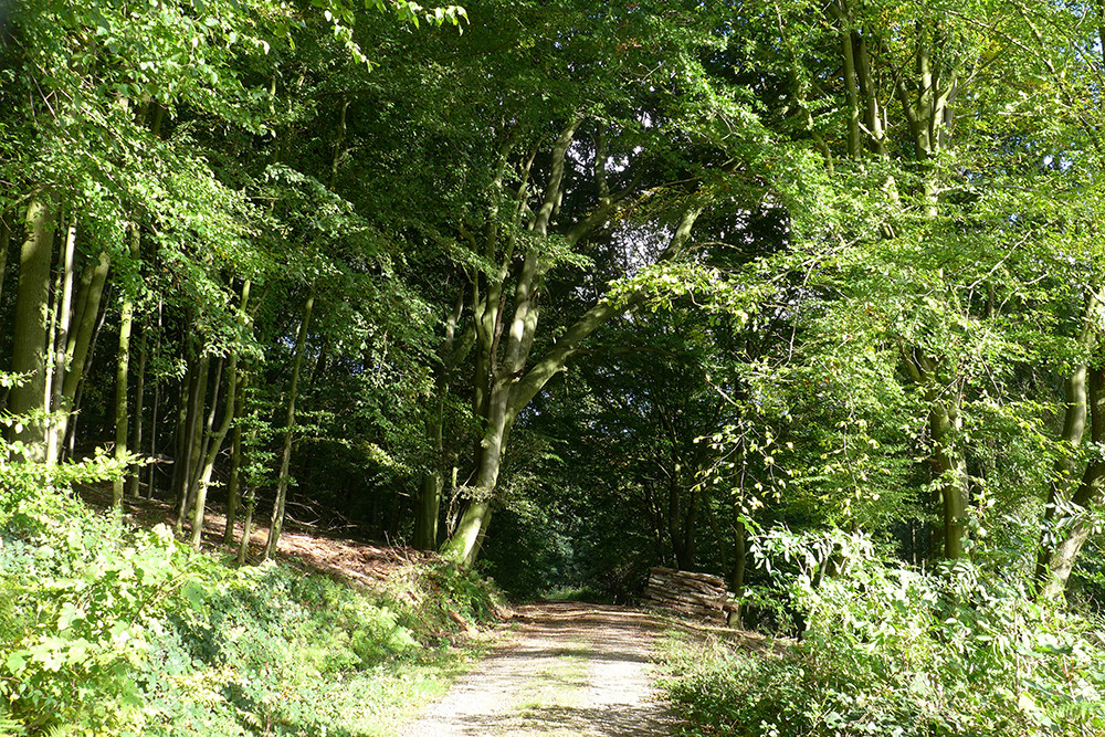 Klicke auf die Grafik für eine vergrößerte Ansicht  Name: Weserberglandweg_PortaWestfalica_102.jpg Ansichten: 0 Größe: 578,4 KB ID: 3283679