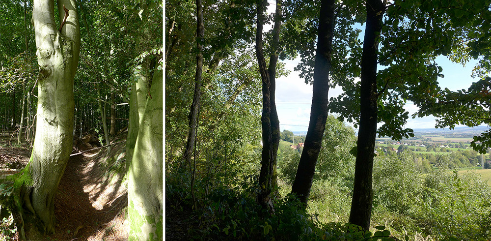 Klicke auf die Grafik für eine vergrößerte Ansicht  Name: Weserberglandweg_PortaWestfalica_103.jpg Ansichten: 0 Größe: 332,8 KB ID: 3283680