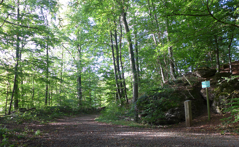Klicke auf die Grafik für eine vergrößerte Ansicht  Name: Weserberglandweg_PortaWestfalica_105.jpg Ansichten: 0 Größe: 467,1 KB ID: 3283682