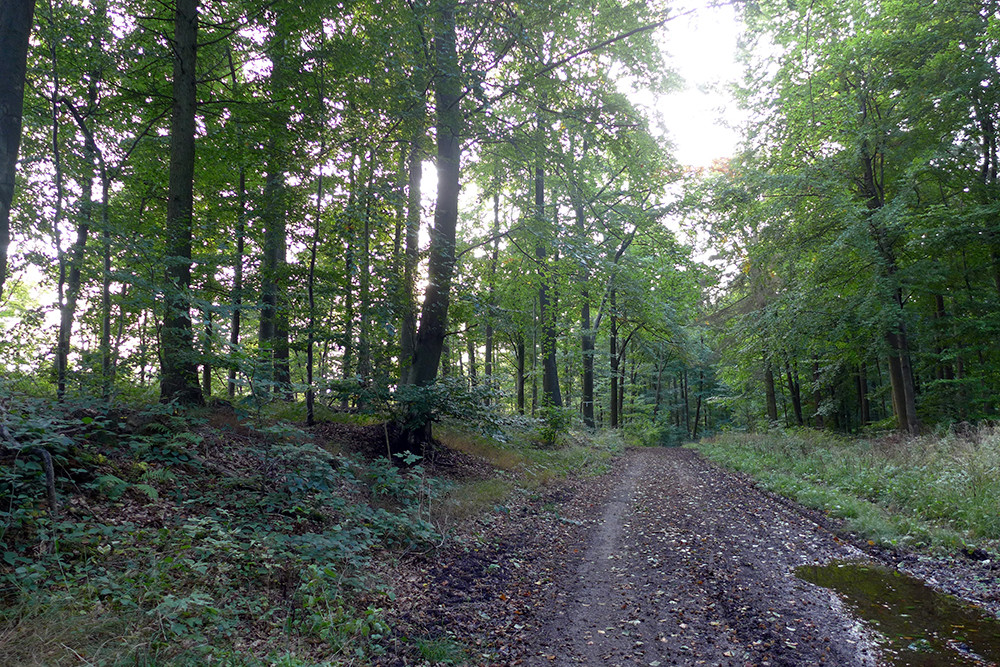 Klicke auf die Grafik für eine vergrößerte Ansicht  Name: Weserberglandweg_PortaWestfalica_110.jpg Ansichten: 0 Größe: 460,2 KB ID: 3283687