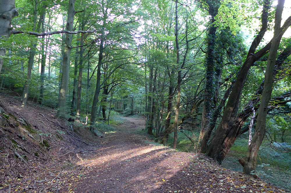 Klicke auf die Grafik für eine vergrößerte Ansicht

Name: Weserberglandweg_PortaWestfalica_114.jpg
Ansichten: 485
Größe: 463,5 KB
ID: 3283695