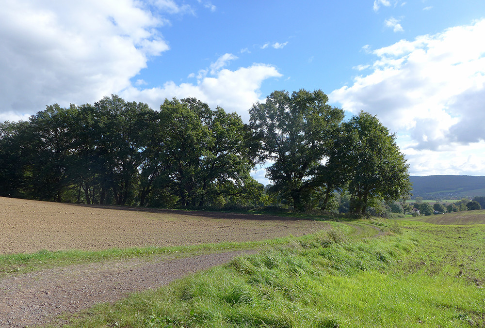 Klicke auf die Grafik für eine vergrößerte Ansicht

Name: Weserberglandweg_PortaWestfalica_115.jpg
Ansichten: 471
Größe: 318,1 KB
ID: 3283696