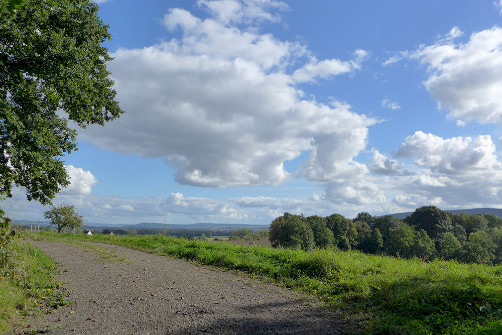 Klicke auf die Grafik für eine vergrößerte Ansicht

Name: Weserberglandweg_PortaWestfalica_116.jpg
Ansichten: 472
Größe: 279,3 KB
ID: 3283697