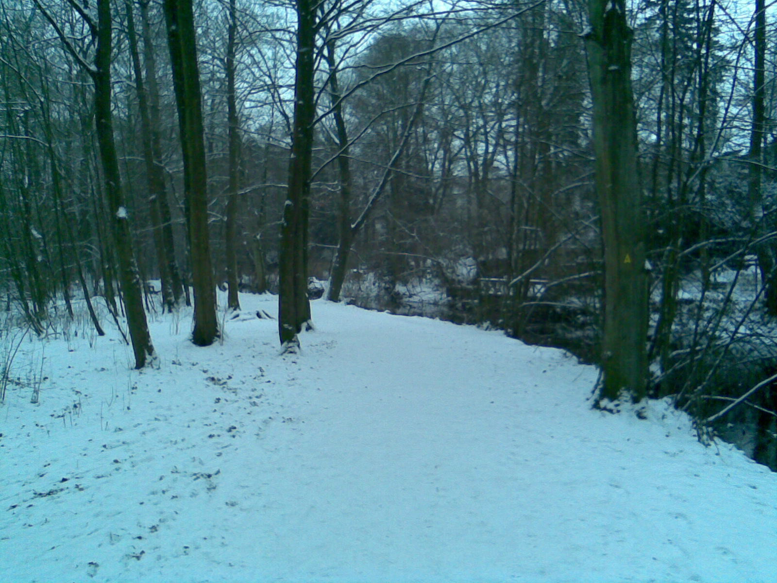 Klicke auf die Grafik für eine vergrößerte Ansicht

Name: Alster bei Kleinborstel.jpg
Ansichten: 135
Größe: 508,1 KB
ID: 3283977