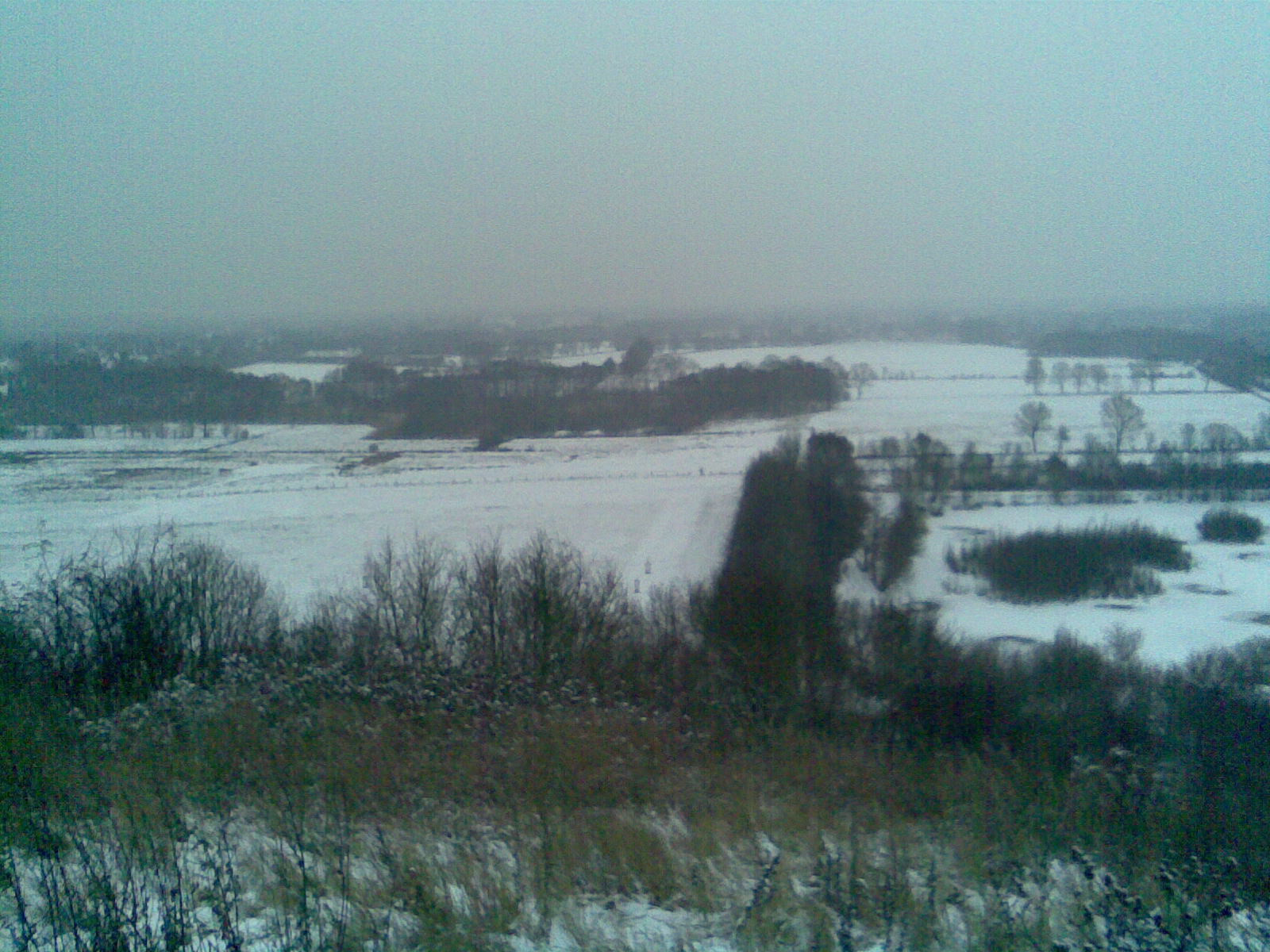 Klicke auf die Grafik für eine vergrößerte Ansicht

Name: Müllberg-Hummelsbüttel_79 m NHN_2.jpg
Ansichten: 136
Größe: 503,4 KB
ID: 3283981