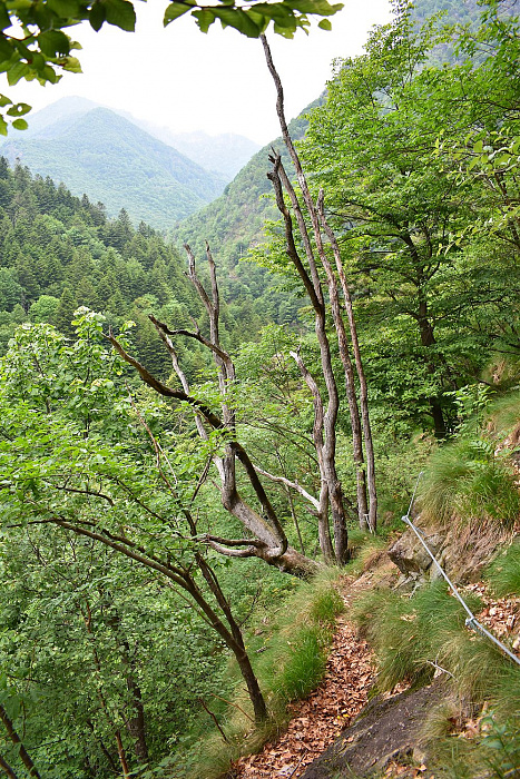 Klicke auf die Grafik für eine vergrößerte Ansicht  Name: DSC_0470.jpg Ansichten: 0 Größe: 971,6 KB ID: 3284573