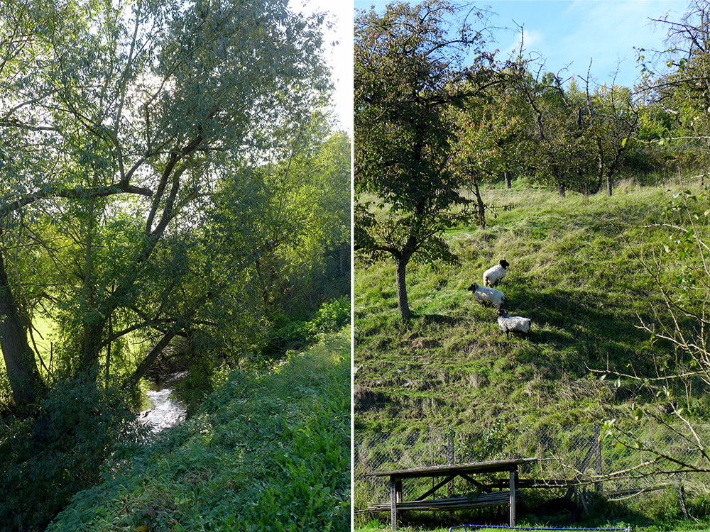 Klicke auf die Grafik für eine vergrößerte Ansicht  Name: Weserberglandweg_468.jpg Ansichten: 0 Größe: 607,4 KB ID: 3285311