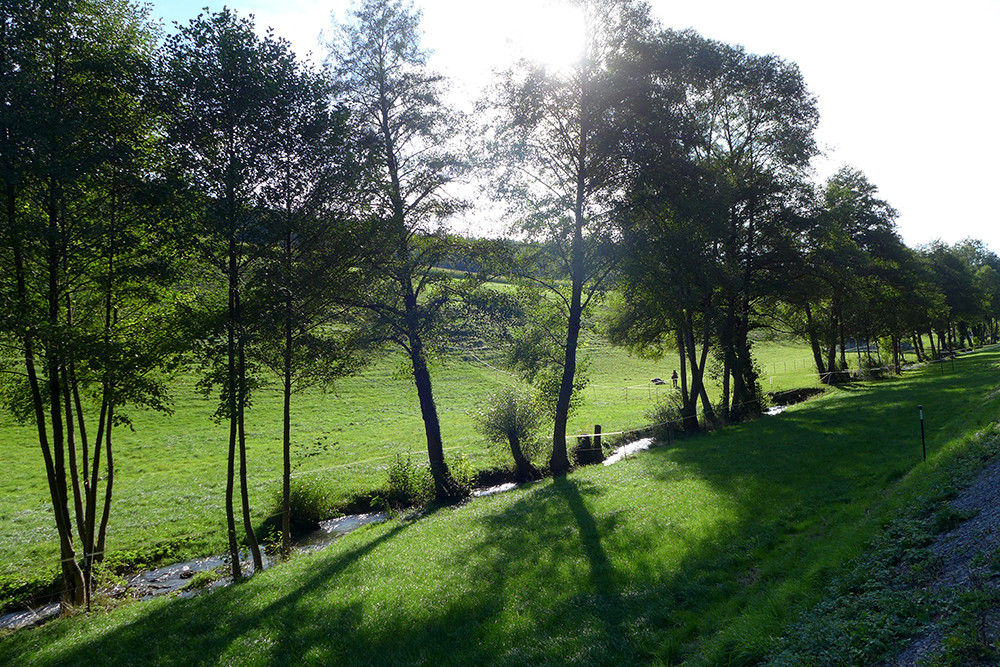 Klicke auf die Grafik für eine vergrößerte Ansicht  Name: Weserberglandweg_469.jpg Ansichten: 0 Größe: 403,1 KB ID: 3285312
