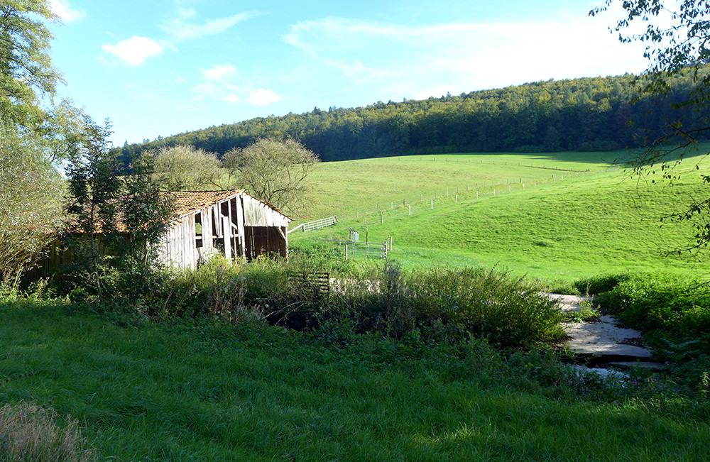Klicke auf die Grafik für eine vergrößerte Ansicht  Name: Weserberglandweg_470.jpg Ansichten: 0 Größe: 340,0 KB ID: 3285313