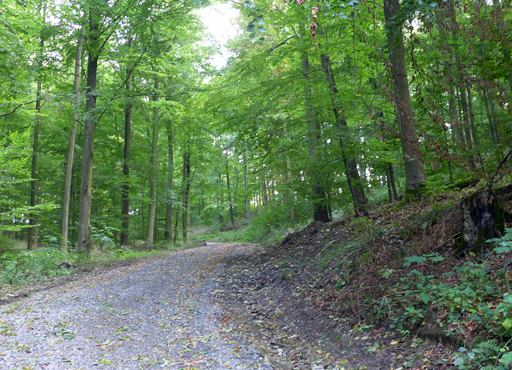 Klicke auf die Grafik für eine vergrößerte Ansicht  Name: Weserberglandweg_476.jpg Ansichten: 0 Größe: 457,5 KB ID: 3285321