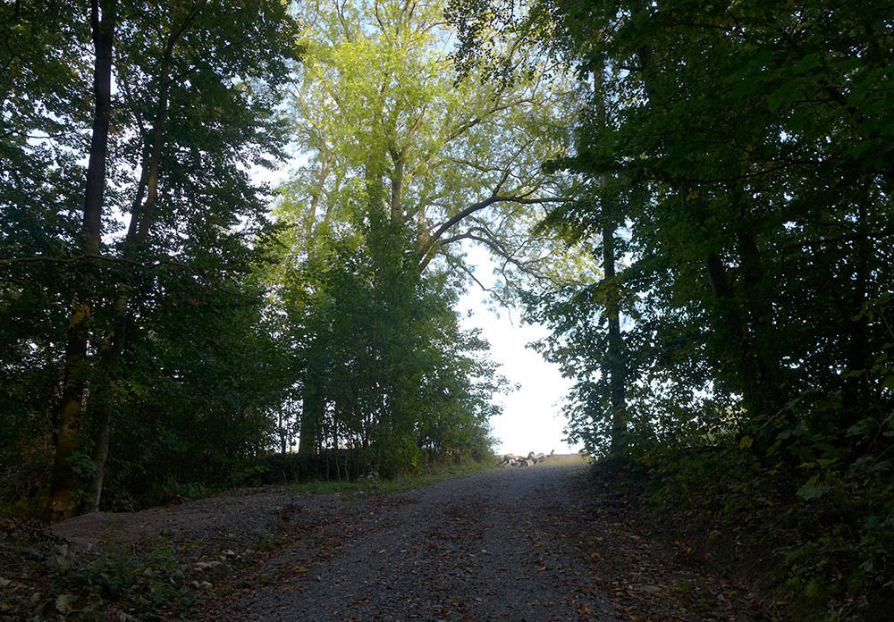 Klicke auf die Grafik für eine vergrößerte Ansicht  Name: Weserberglandweg_477.jpg Ansichten: 0 Größe: 412,5 KB ID: 3285323