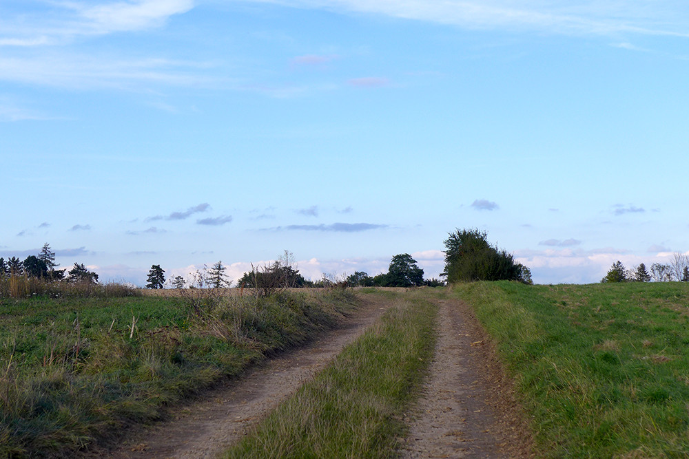Klicke auf die Grafik für eine vergrößerte Ansicht  Name: Weserberglandweg_481.jpg Ansichten: 0 Größe: 185,0 KB ID: 3285324